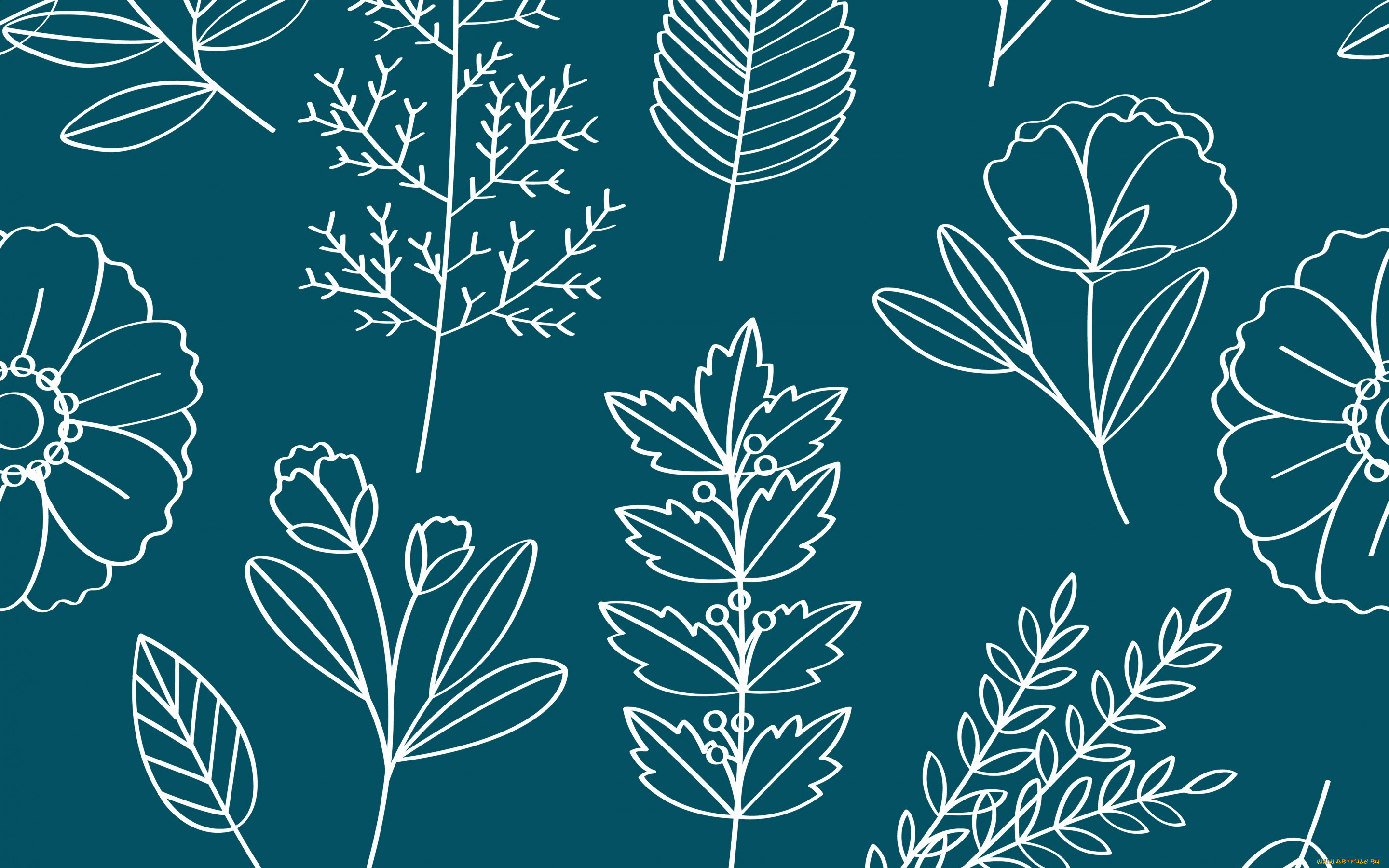  ,  , flowers, , , floral, pattern, vector, , 